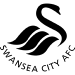 斯旺西 vs 伯明翰
