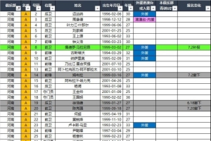 河南队、大连英博、深圳新鹏城2026赛季中超联赛夏季转会期报名名单